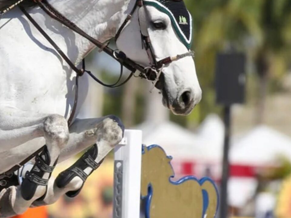 leg-protection-show-jumping-eventing-boots-bandages