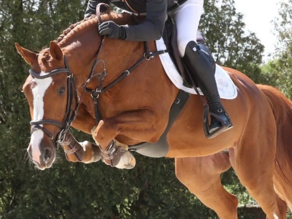 Horsemanship isn't only about developing the horse