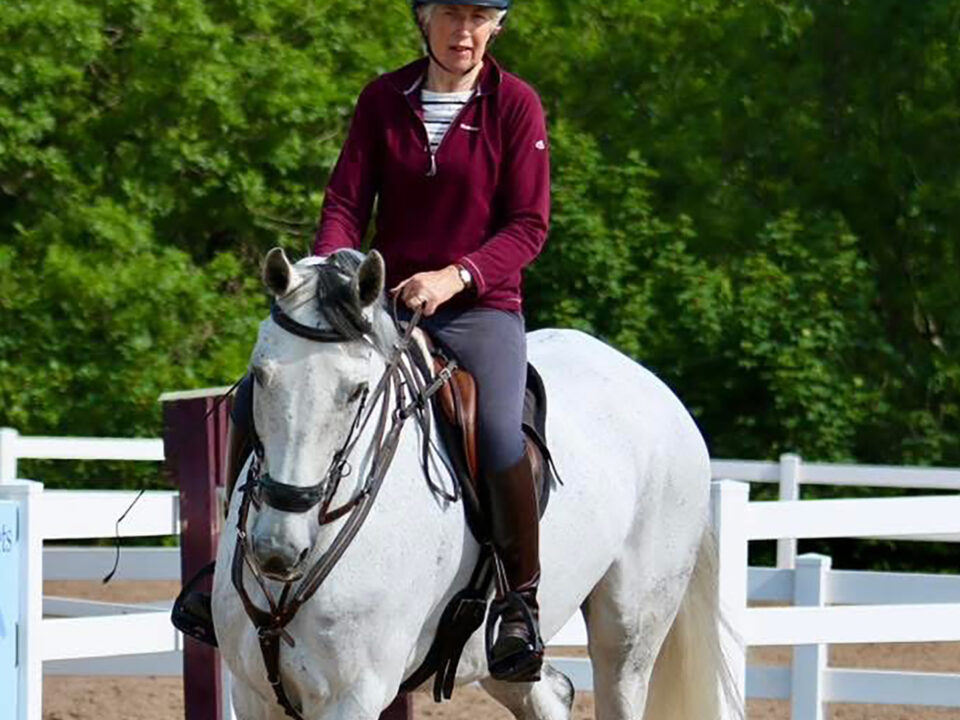How Correct Connection Creates Better Showjumping Horses