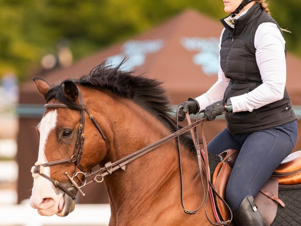 Why Do Horses Lift Their Head on the Approach to a Jump?